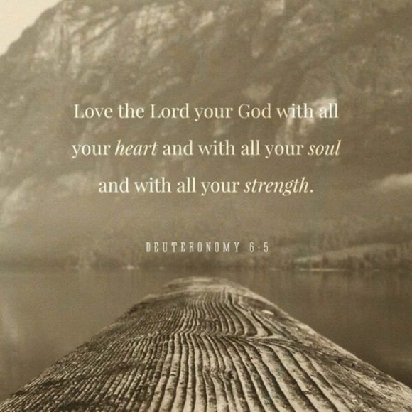 Meet your Posher, Terrie - Picture 1 of 1